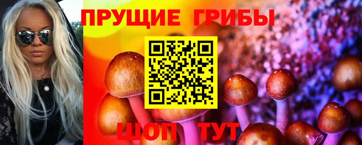 Псилоцибиновые грибы Cubensis  Вход с VPN  Псилоцибиновые грибы мухоморы  Алейск 